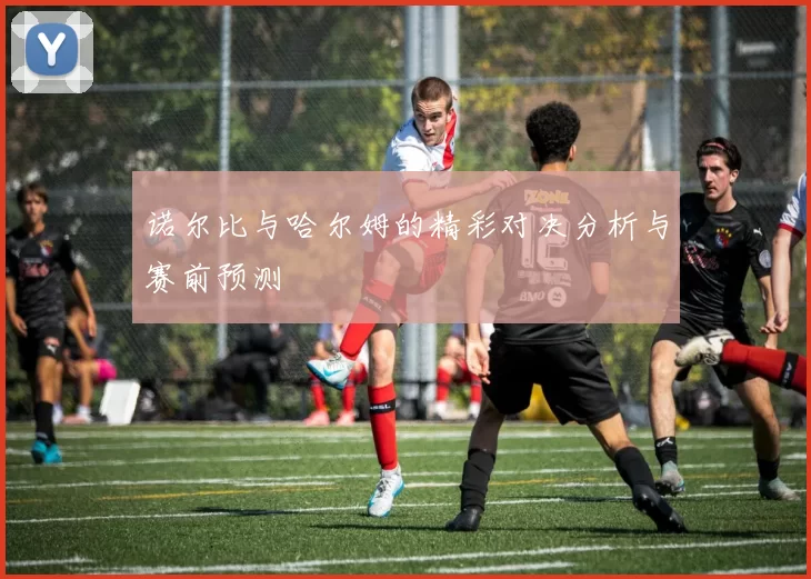 诺尔比与哈尔姆的精彩对决分析与赛前预测